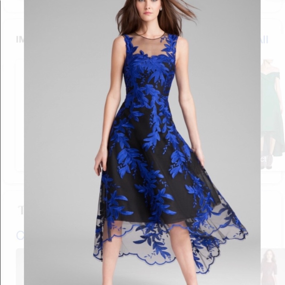 Teri Jon brand new high low formal dress!